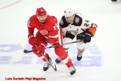 Detroit 1 - Anaheim 3  Luke Durda/In Play! Magazine