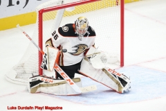 Detroit 1 - Anaheim 3  Luke Durda/In Play! Magazine