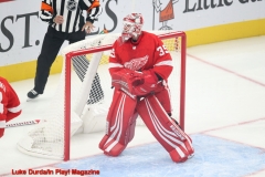 Detroit 1 - Anaheim 3  Luke Durda/In Play! Magazine