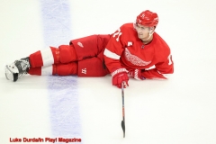 Detroit 1 - Anaheim 3  Luke Durda/In Play! Magazine