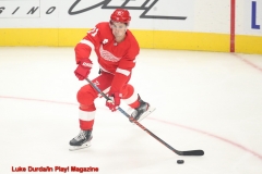 Detroit 1 - Anaheim 3  Luke Durda/In Play! Magazine