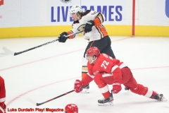 Detroit 1 - Anaheim 3  Luke Durda/In Play! Magazine