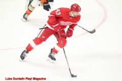 Detroit 1 - Anaheim 3  Luke Durda/In Play! Magazine
