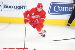 Detroit 1 - Anaheim 3  Luke Durda/In Play! Magazine
