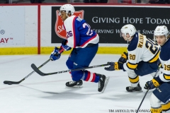Windsor Spitfires vs Erie Otters Feb 25 2018 (12)