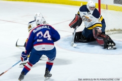 Windsor Spitfires vs Erie Otters Feb 25 2018 (23)