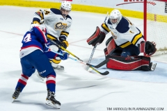 Windsor Spitfires vs Erie Otters Feb 25 2018 (24)