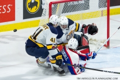 Windsor Spitfires vs Erie Otters Feb 25 2018 (39)