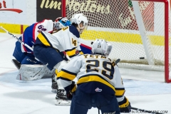 Windsor Spitfires vs Erie Otters Feb 25 2018 (40)