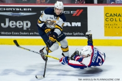 Windsor Spitfires vs Erie Otters Feb 25 2018 (41)
