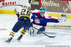 Windsor Spitfires vs Erie Otters Feb 25 2018 (7)