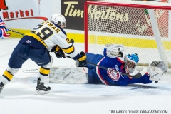 Windsor Spitfires vs Erie Otters Feb 25 2018 (8)