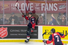 Spitfires vs Firebirds 1-10-2019 (7)