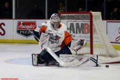 Spitfires vs Firebirds March 14 2019 (11)