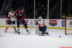 Spitfires vs Firebirds March 14 2019 (7)