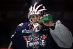 Flint-Firebirds-vs-Windsor-Spitfires-October-17-2019-2