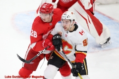 Feb 23 23 2020  - Calgary defeats Detroit 4-2. Photo Credit Luke Durda/In Play! Magazine