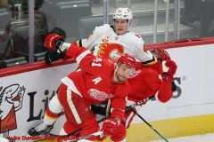 Feb 23 23 2020  - Calgary defeats Detroit 4-2. Photo Credit Luke Durda/In Play! Magazine