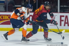 Windsor Spitfires vs Flint Firebirds Jan 21 2018 (11)