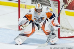 Windsor Spitfires vs Flint Firebirds Jan 21 2018 (15)