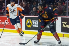 Windsor Spitfires vs Flint Firebirds Jan 21 2018 (2)