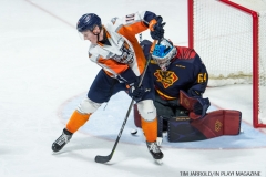 Windsor Spitfires vs Flint Firebirds Jan 21 2018 (25)