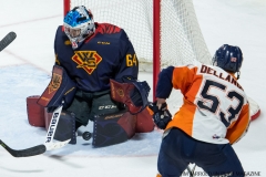Windsor Spitfires vs Flint Firebirds Jan 21 2018 (33)