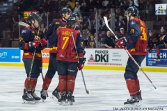 Windsor Spitfires vs Flint Firebirds Jan 21 2018 (5)