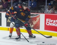 Windsor Spitfires vs Flint Firebirds Jan 21 2018 (9)