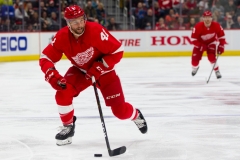 Red Wings vs Flyers Feb 17 2019 (18)