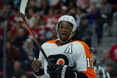 Red Wings vs Flyers Feb 17 2019 (2)