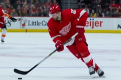 Red Wings vs Flyers Feb 17 2019 (3)