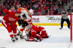 Red Wings vs Flyers Feb 17 2019 (32)