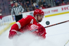 Red Wings vs Flyers Feb 17 2019 (8)