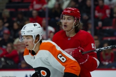 Red Wings vs Flyers Feb 17 2019 (9)