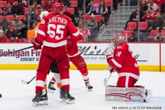 Red Wings vs Flyers Jan 23 2018 (3)