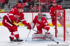 Red Wings vs Flyers Jan 23 2018 (33)