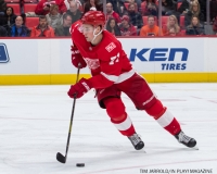Red Wings vs Flyers Jan 23 2018 (42)