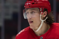 Red Wings vs Flyers March 20 2018 (10)