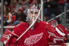 Red Wings vs Flyers March 20 2018 (11)