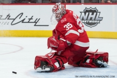 Red Wings vs Flyers March 20 2018 (18)