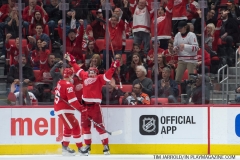 Red Wings vs Flyers March 20 2018 (19)