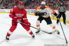 Red Wings vs Flyers March 20 2018 (40)