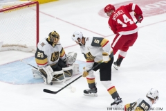 Red Wings vs Golden Knights Feb 7 2019 (10)