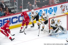 Red Wings vs Golden Knights Feb 7 2019 (11)
