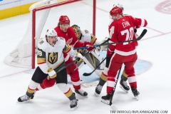 Red Wings vs Golden Knights Feb 7 2019 (12)