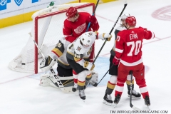 Red Wings vs Golden Knights Feb 7 2019 (13)
