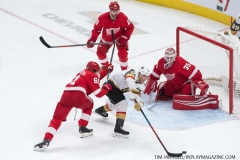 Red Wings vs Golden Knights Feb 7 2019 (14)