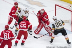 Red Wings vs Golden Knights Feb 7 2019 (15)