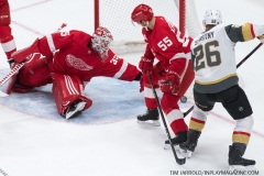 Red Wings vs Golden Knights Feb 7 2019 (16)